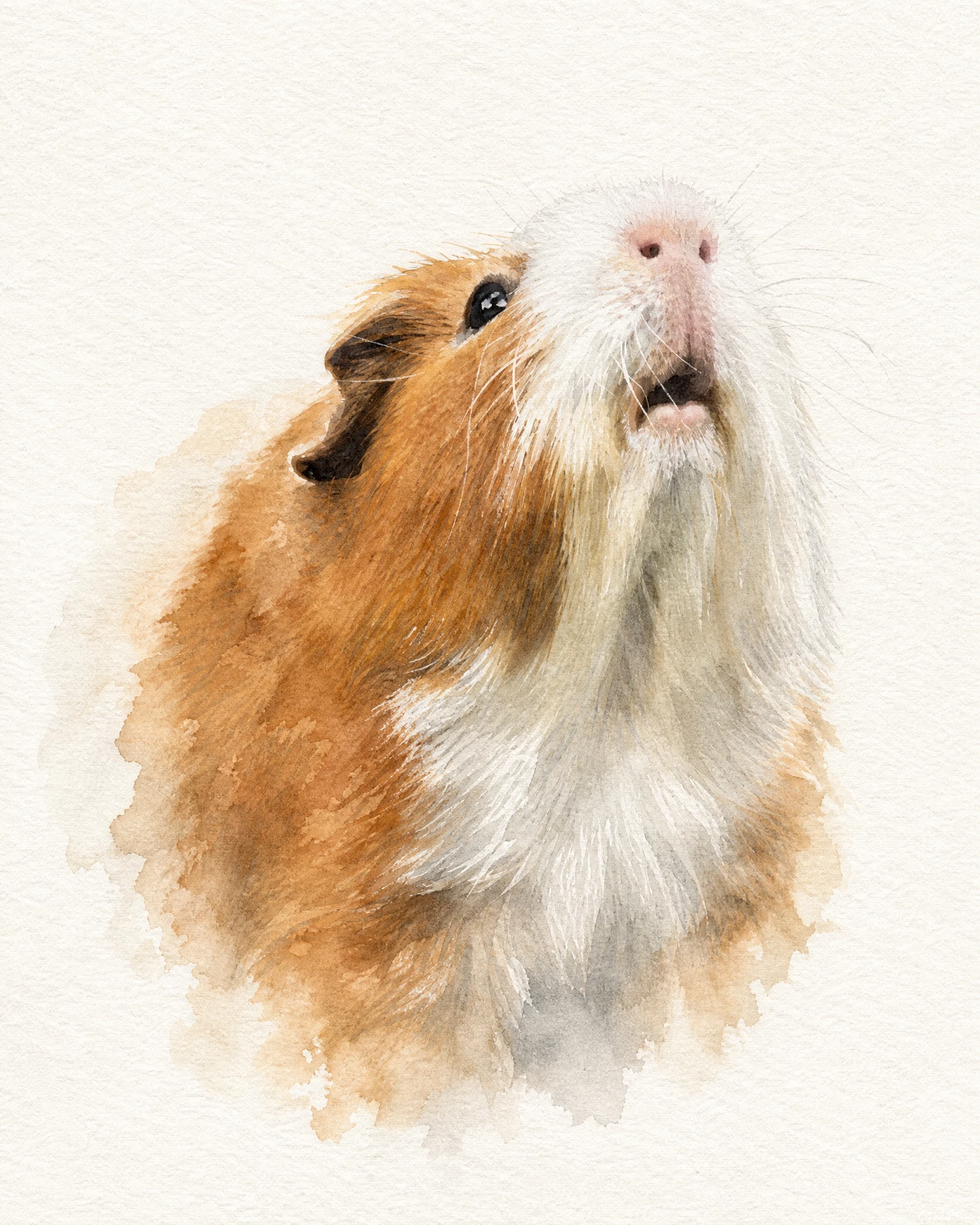 Guinea pig rendered in Soft Watercolour