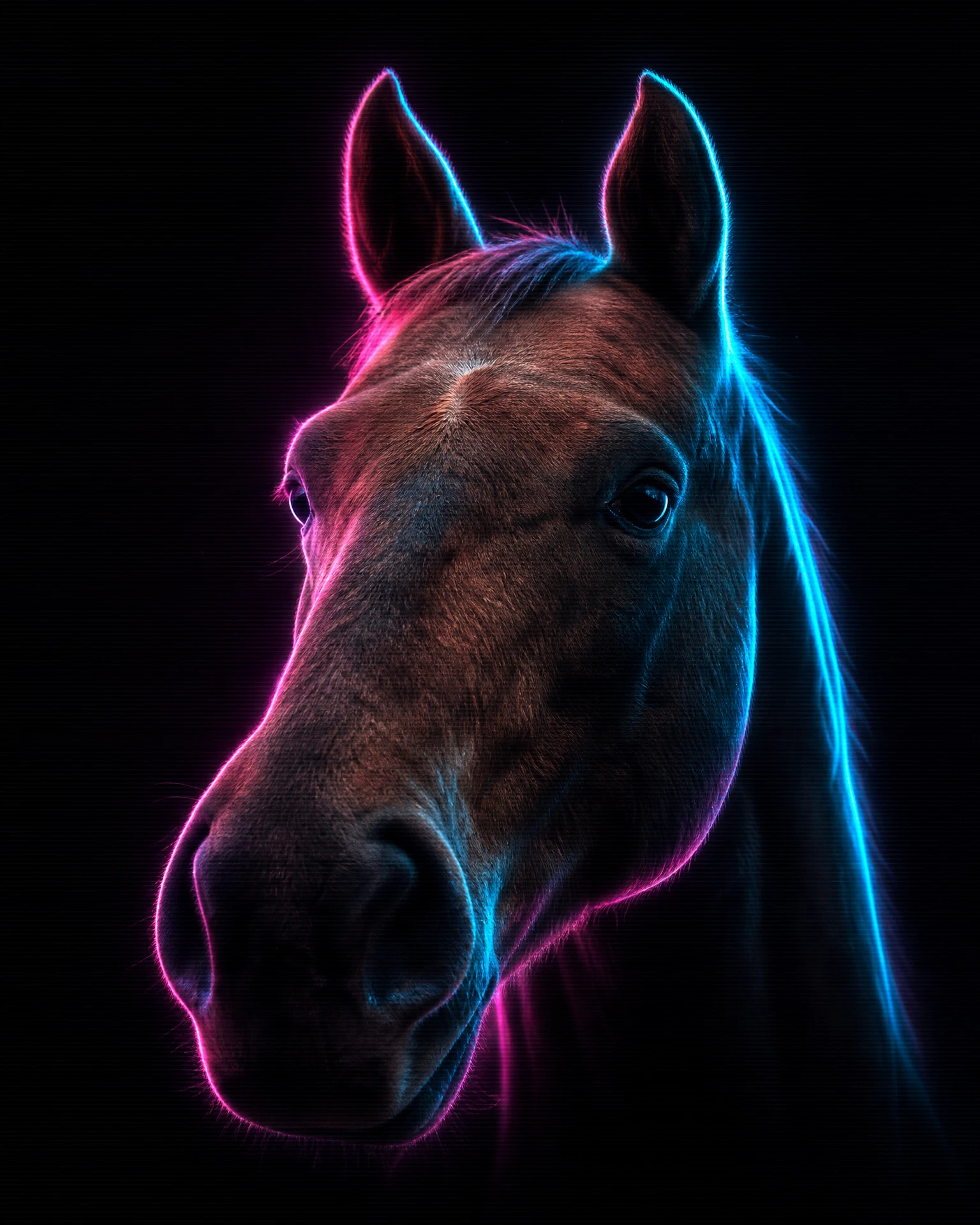 Horse rendered in Midnight Neon