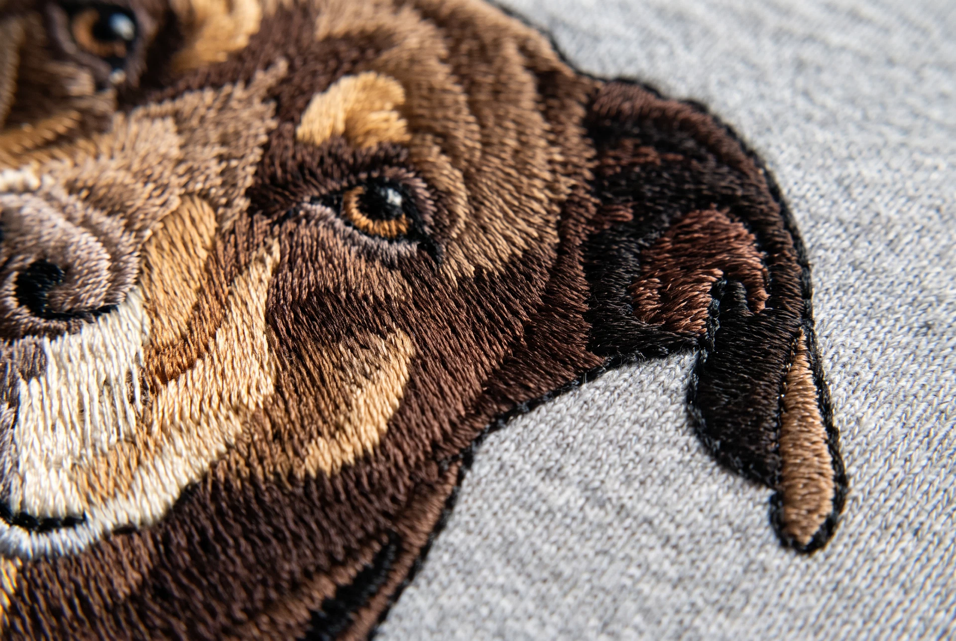 Macro photograph of the embroidery, individual threads visible and raised above the cotton weave